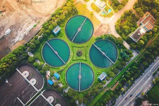 1723425681-6069.jpg 1723425681-6069.jpg